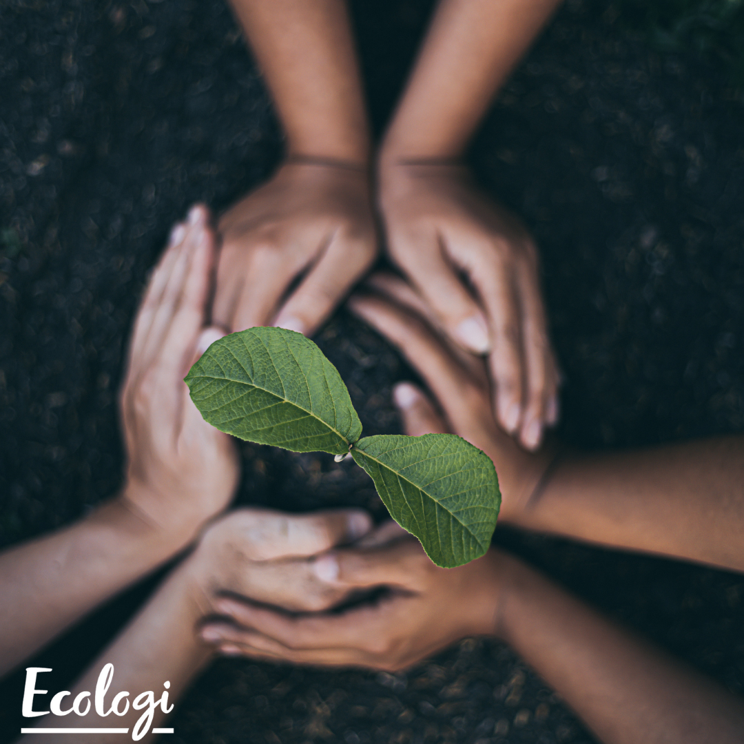 Plant a tree