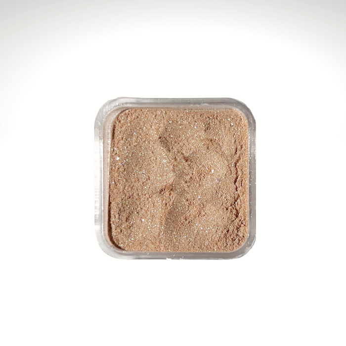 Dancing Dust Refill Powder packs